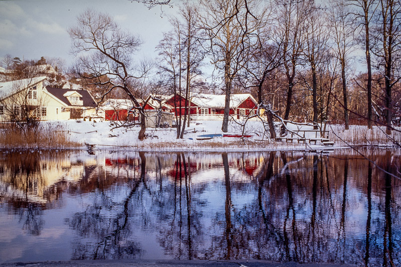 Nikon FE2 | Colour reversal film | Kodak Elite Chrome 100