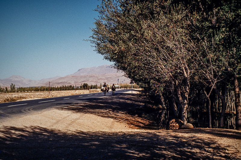 Canon A1 | Colour reversal film | Kodachrome 64