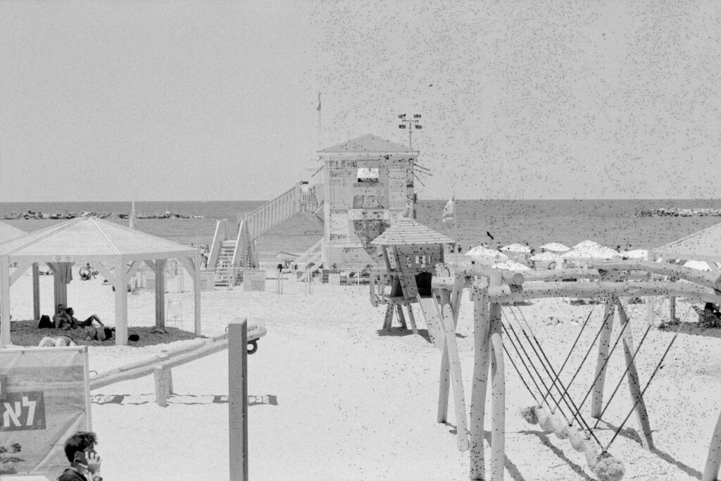 a beach