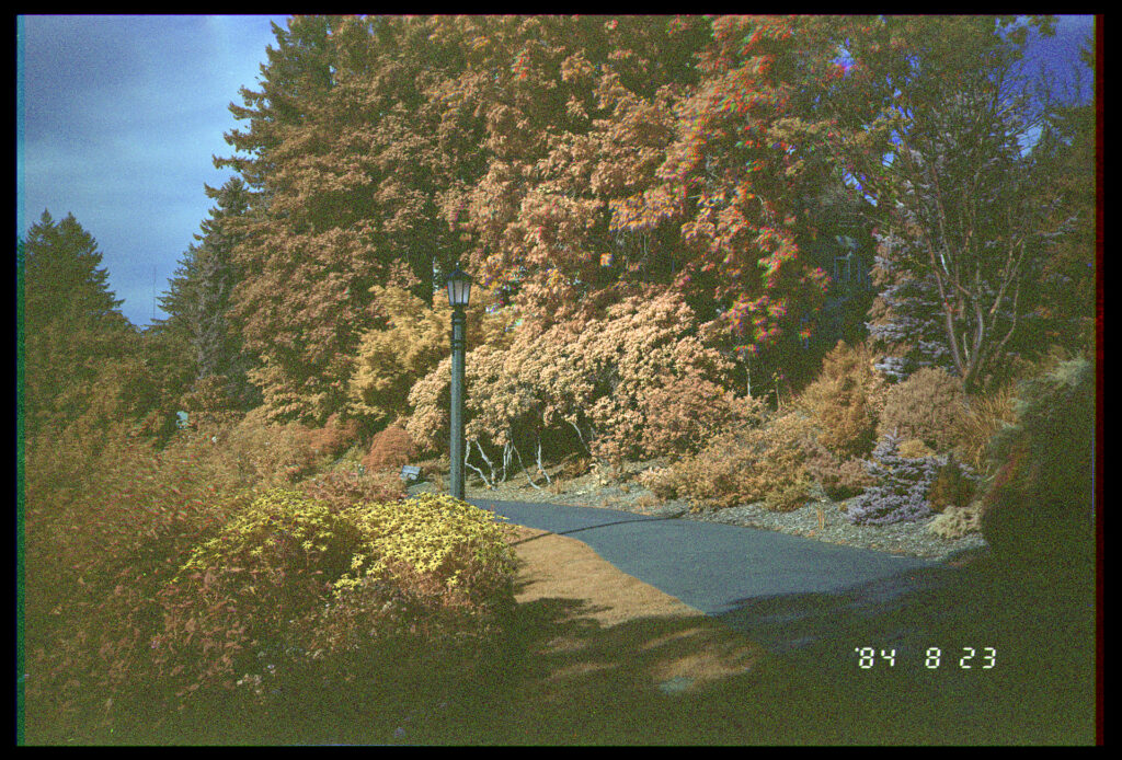 Infrared trichrome of a walkway and lamp post