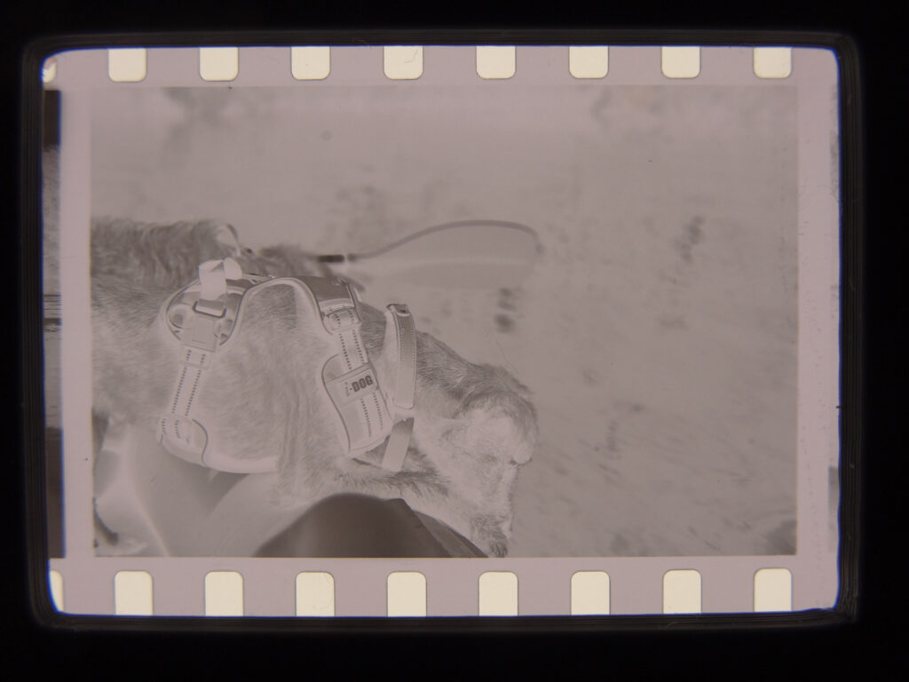 Scanned negative