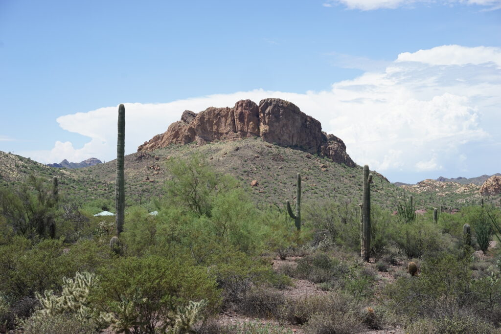 A desert rock formation