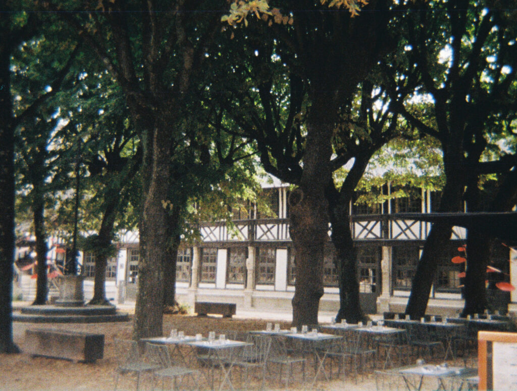 chairs and tables in a square underneath leafy trees