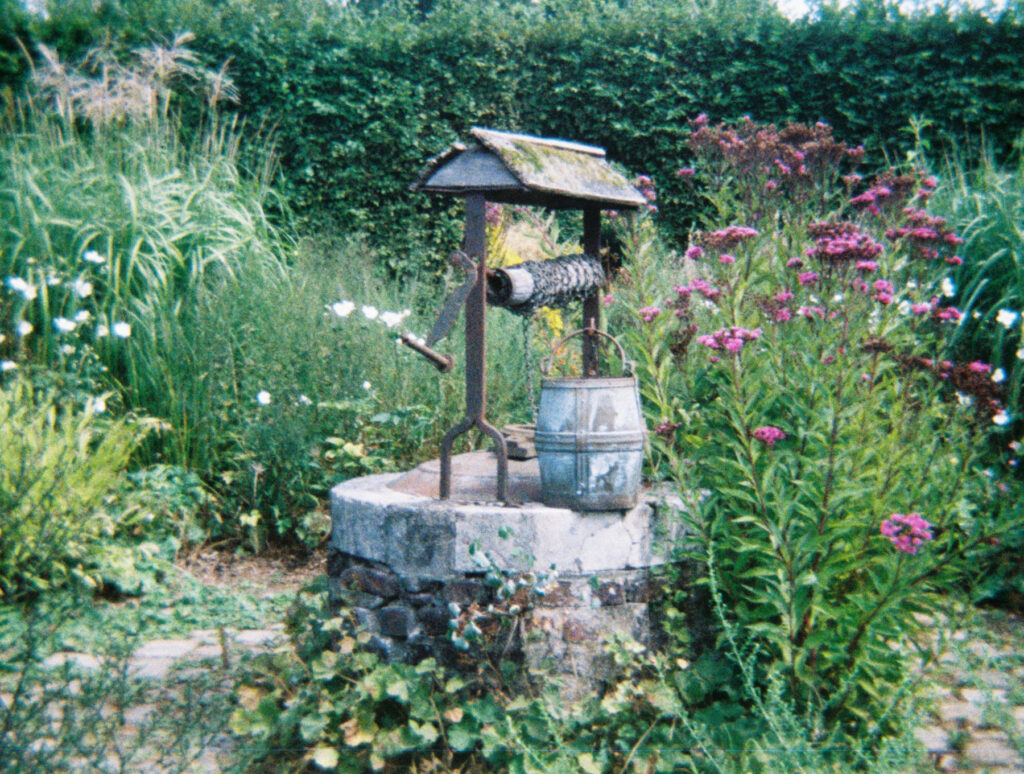 a picture of a well in a garden