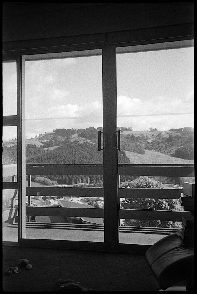 View through window of sunny view with no sign of barrel or pincushion distortion.