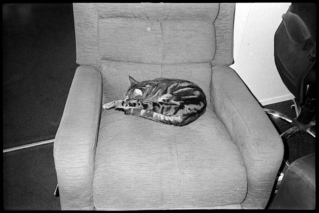 The flash is not too harsh.