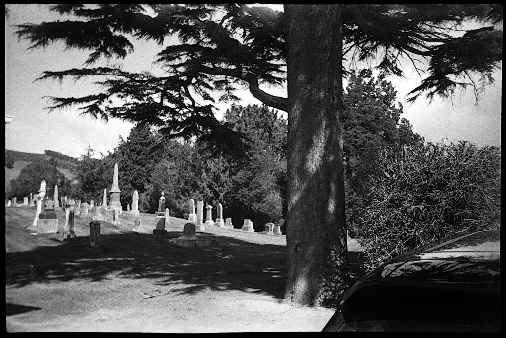 There can be few complaints at the accuracy of the exposure in this contrasty scene helped by the film of course.