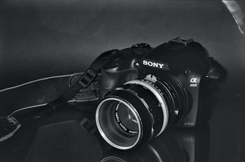 The biter bit - the feature image reversed.