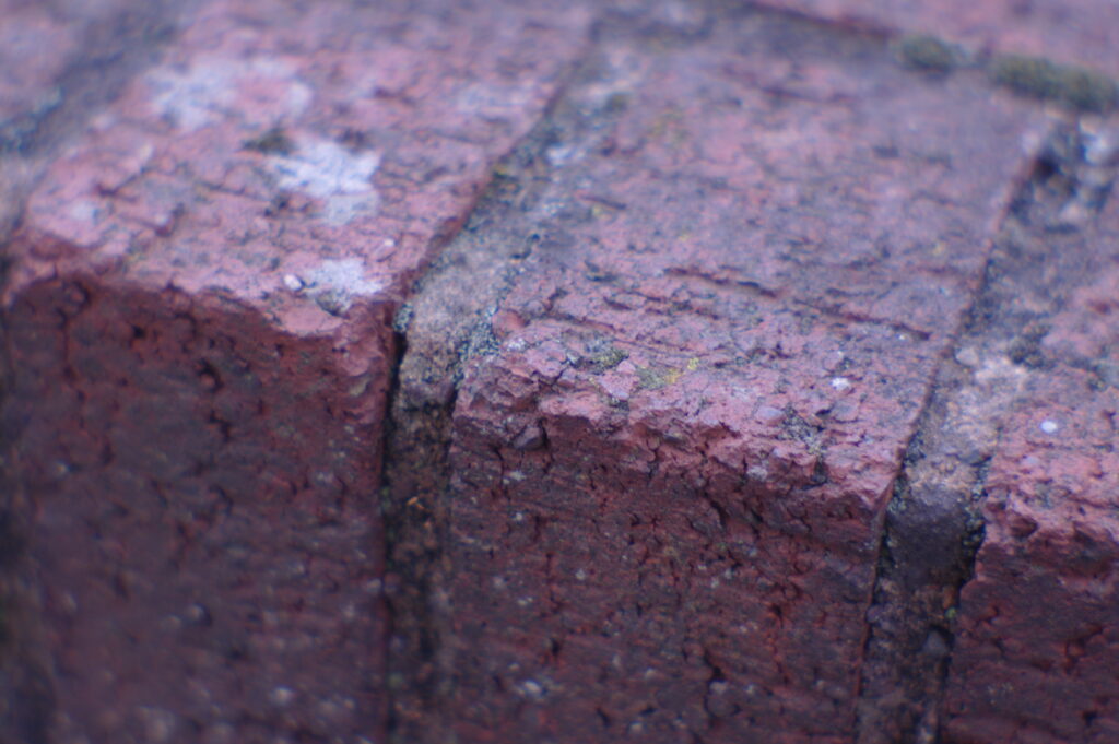 Test image of brick wall