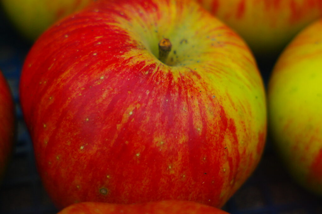 Test shot of an apple