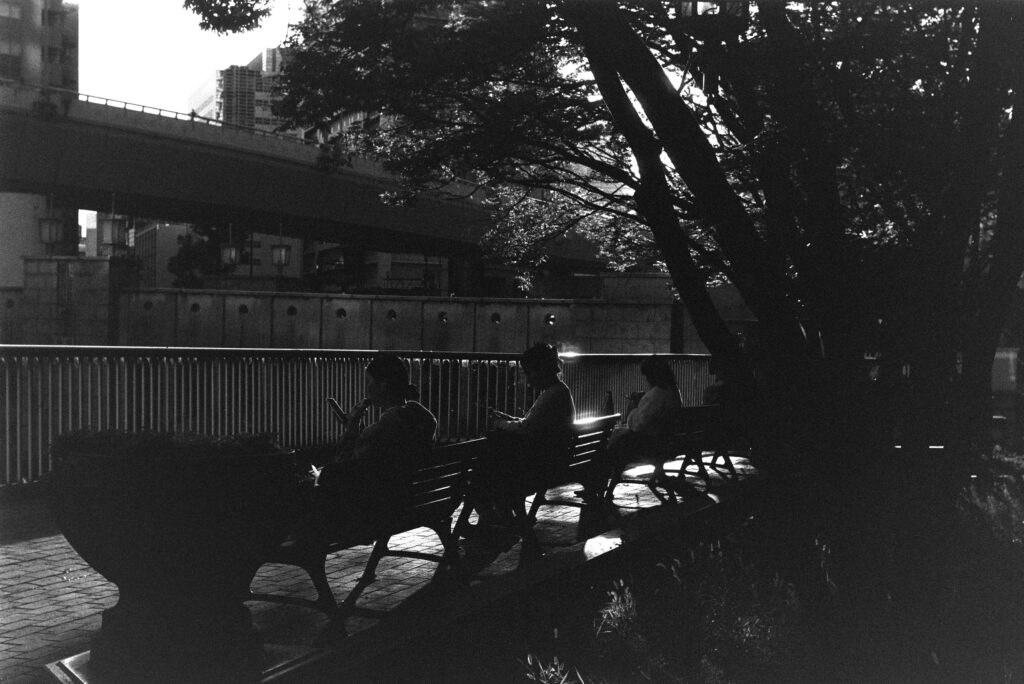 Leica iiig and Summitar