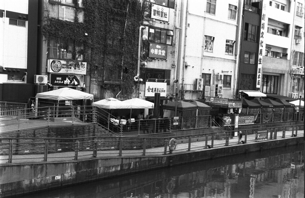 Leica iiig and Summitar