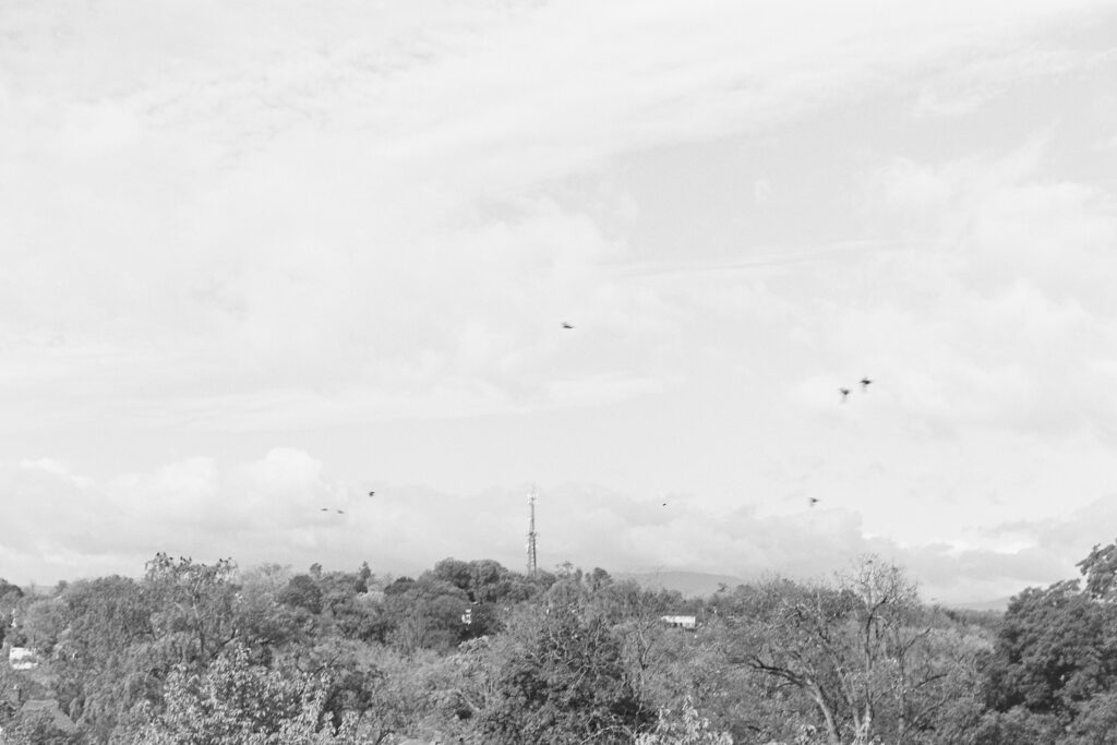 A distant skyline with cell phone tower