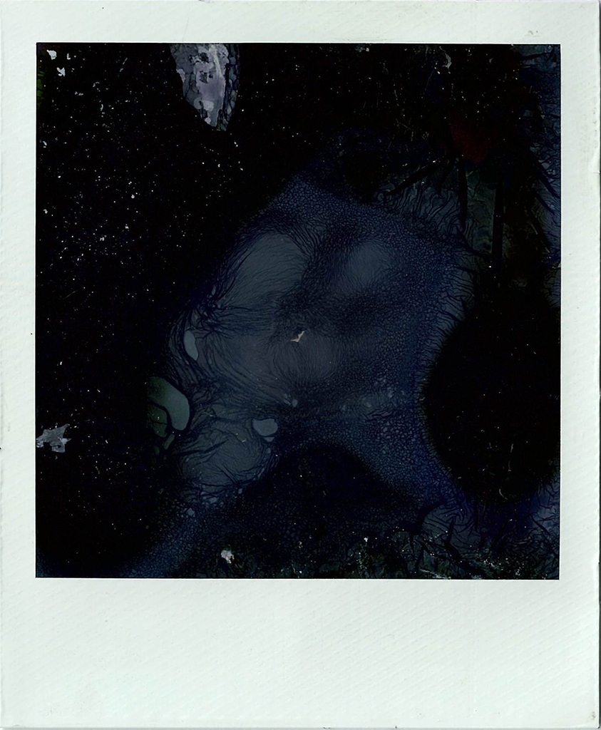 the image is purely decorative