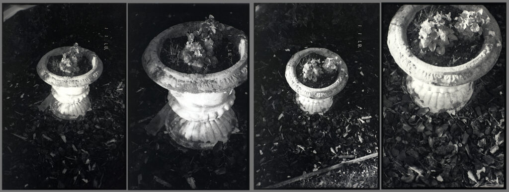 The very slight remaining light leak only visible in portrait format and at the wide angle zoom setting.