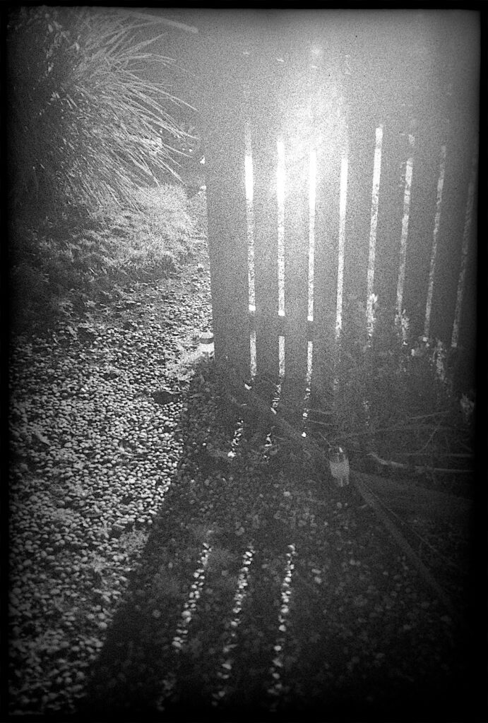 Showing massive flare from the evening sun. Maybe a bit unfair with this type of camera. It is impossible to fit a lens hood.