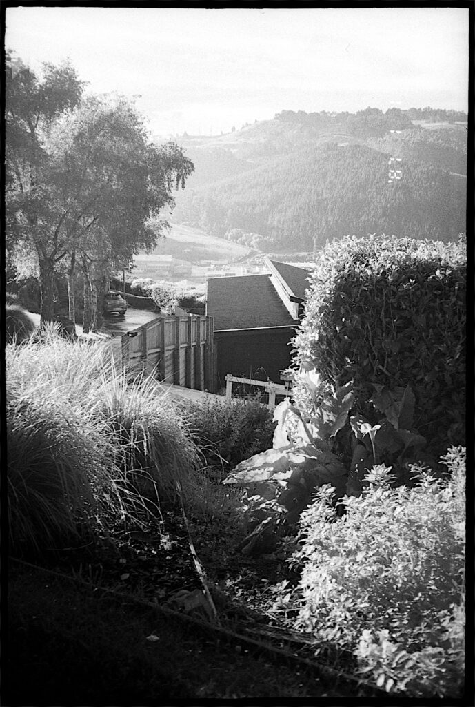 A very satisfying result. We shall have a total eclipse of the sun in this direction a little before sunset in just under three year’s time. The hotels are being booked up already it seems.