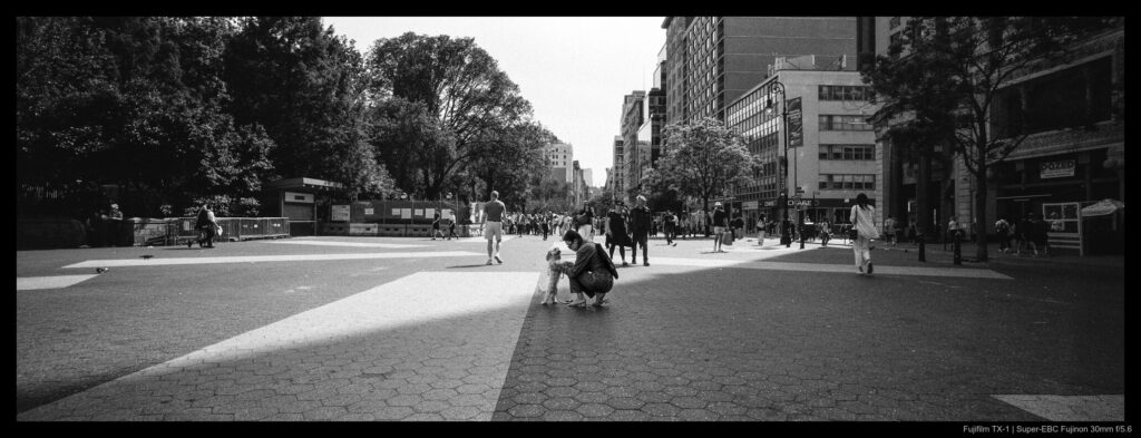 A person crouches down to share a moment with their small dog, both caught at an intersection point between light and shadow crossing Union Square Park.