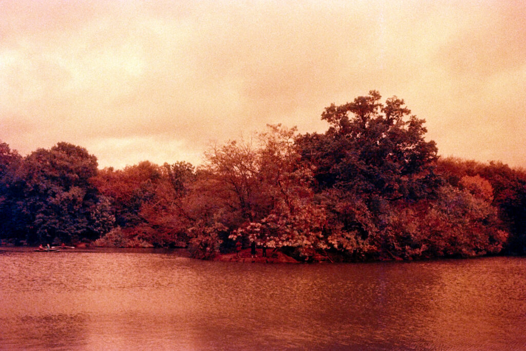 A lake in Central Park
