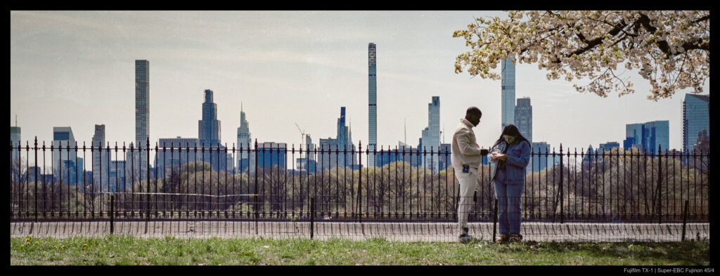 Two people take a moment beneath a blossoming branch in Central Park. A large body of water and the skyline are visible in the background through a fence.