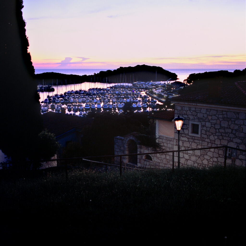 Good night you lovely summer