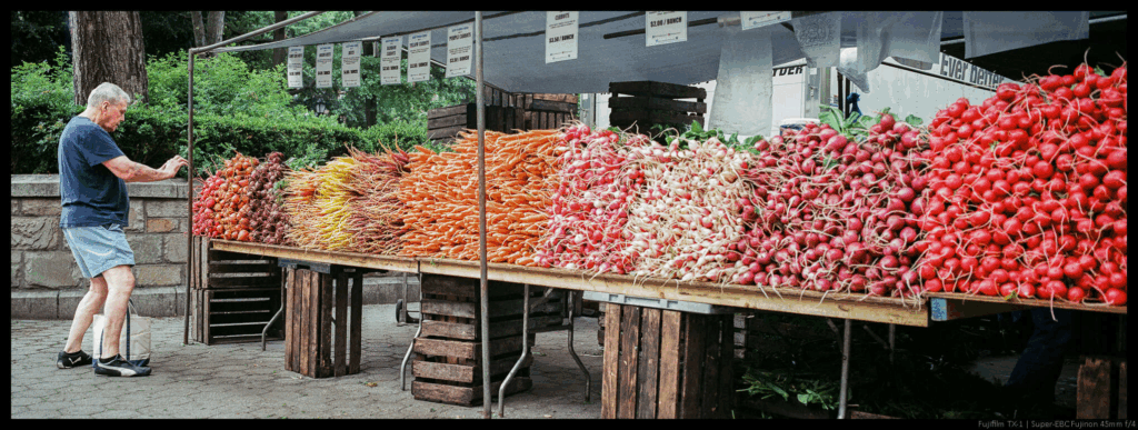 An image of a person photographing a huge assortment of colored vegetables arranged into bands.