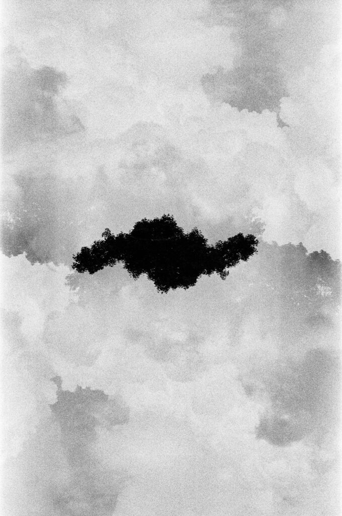 Black-and-white 35mm multiple-exposure photo of tree silhouettes creating an abstract shape against a cloudy sky.