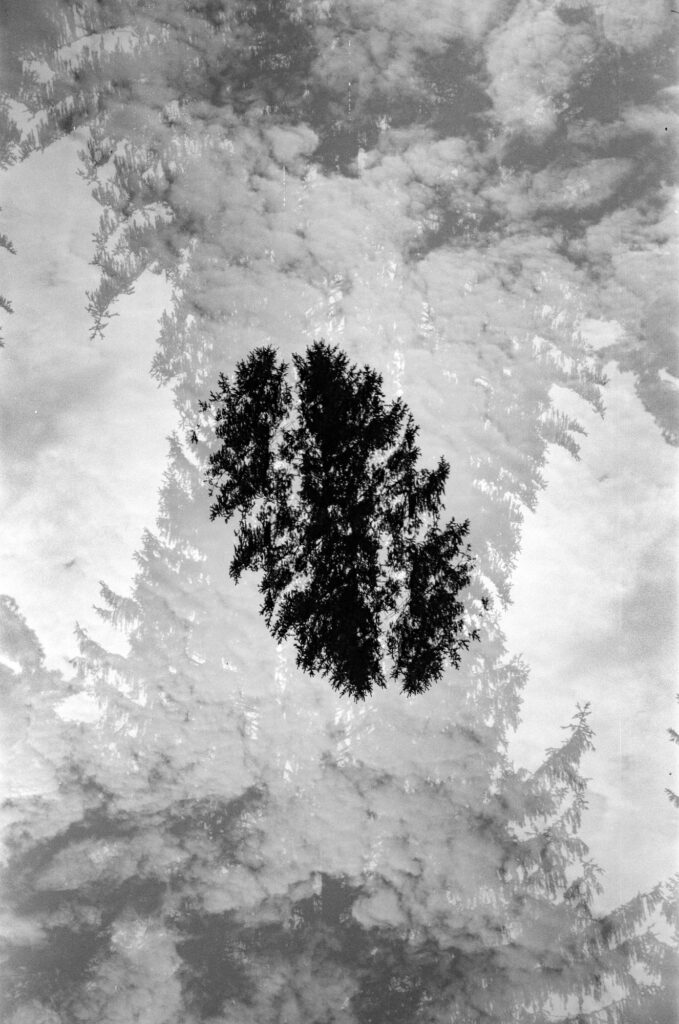 Black-and-white 35mm multiple-exposure photo of overlapping tree silhouettes and clouds, creating an abstract layered composition.