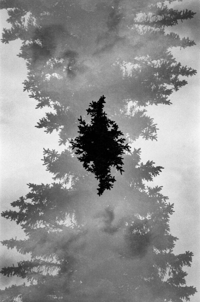 Black-and-white 35mm multiple-exposure image of layered tree silhouettes and soft clouds, forming an abstract mirrored pattern.