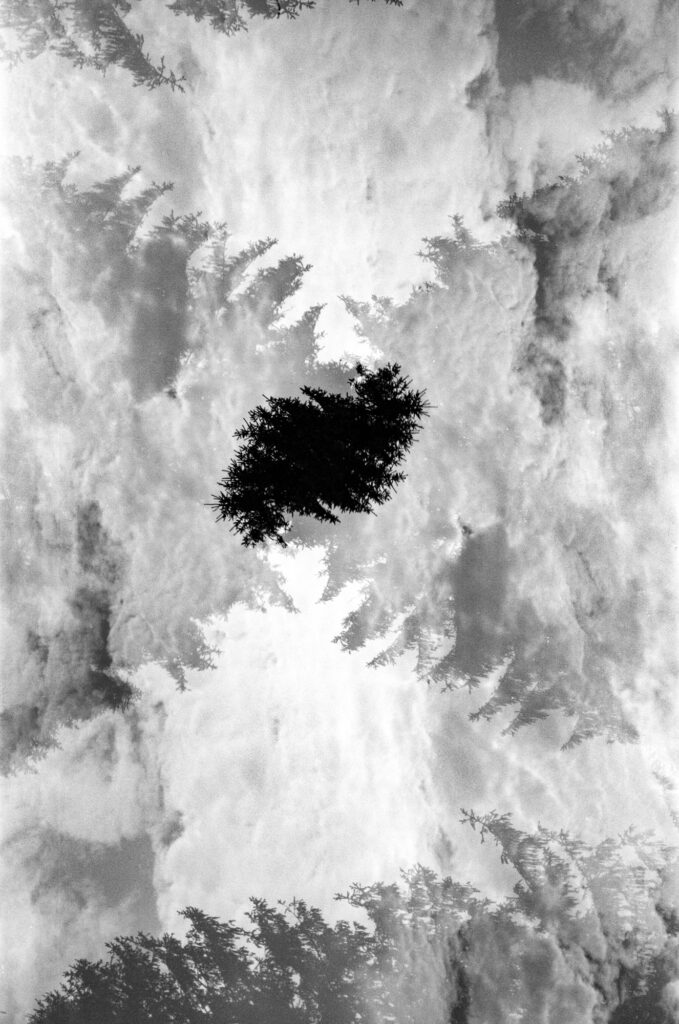 Black-and-white 35mm multiple-exposure image combining tree silhouettes and cloudy sky, creating a layered, abstract composition.