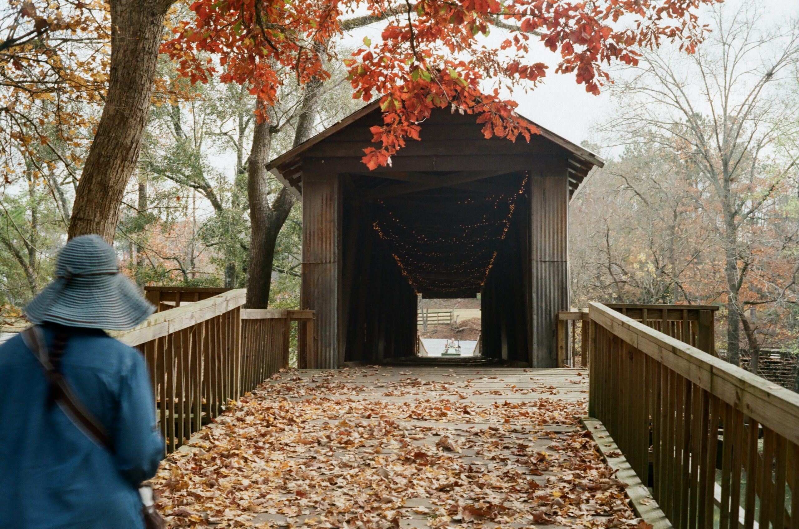 A woman in a blue dress and blue hat starts to walk towards a covered bridge. She is walking on a ramp covered with fallen brown leaves. Above her is a red maple tree with bright red leaves. The covered bridge has many small lights suspended from its ceiling.