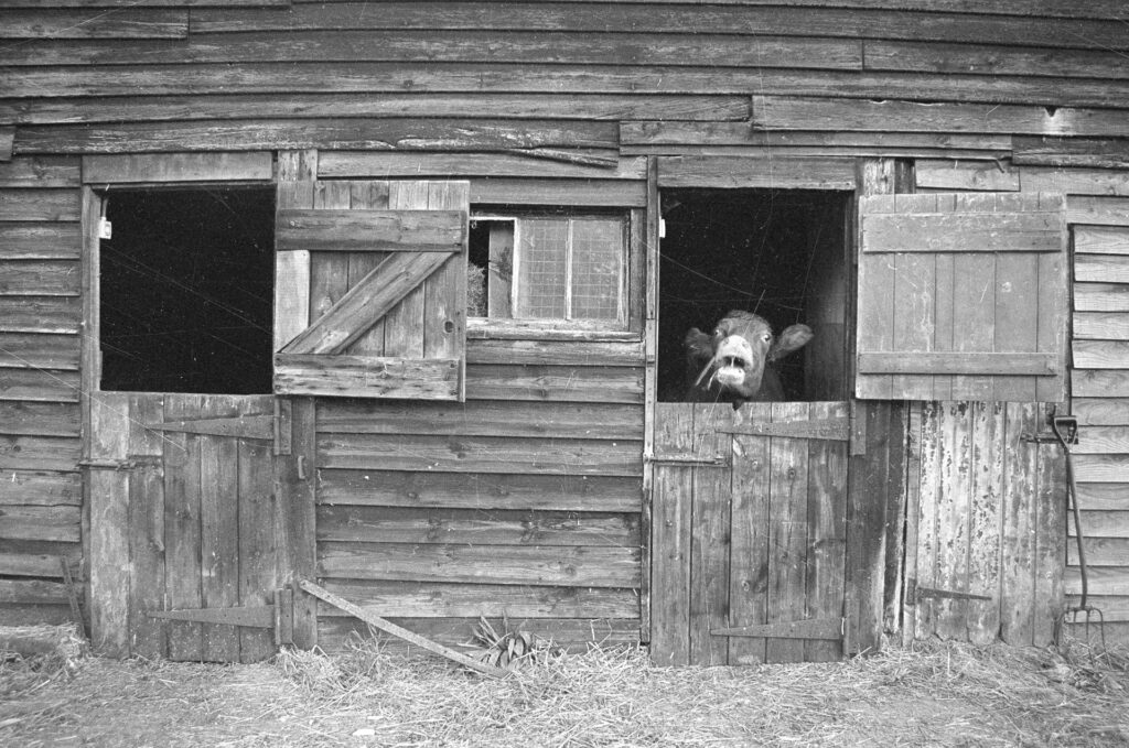 Black and white photograph