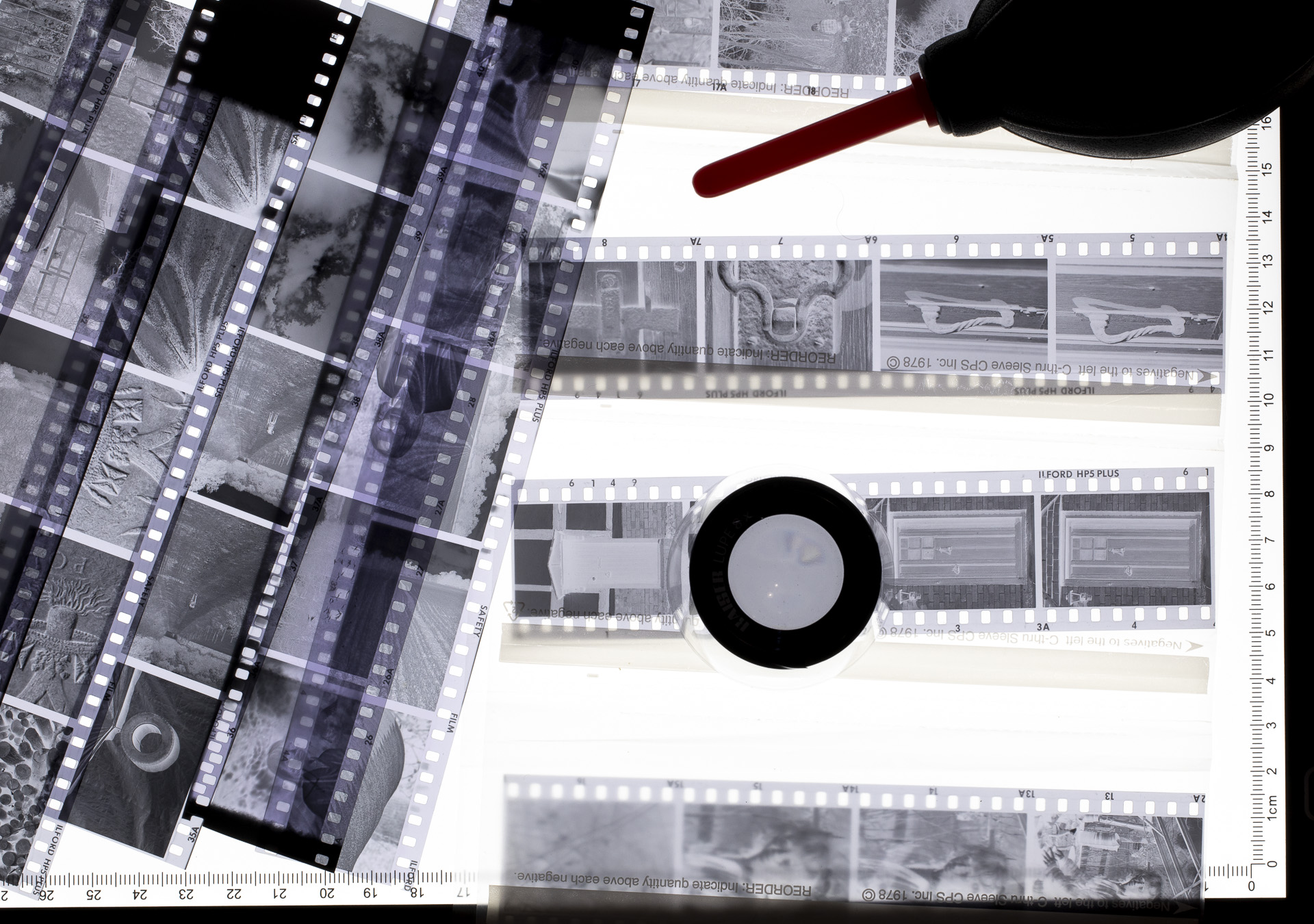 Negatives on a lightbox