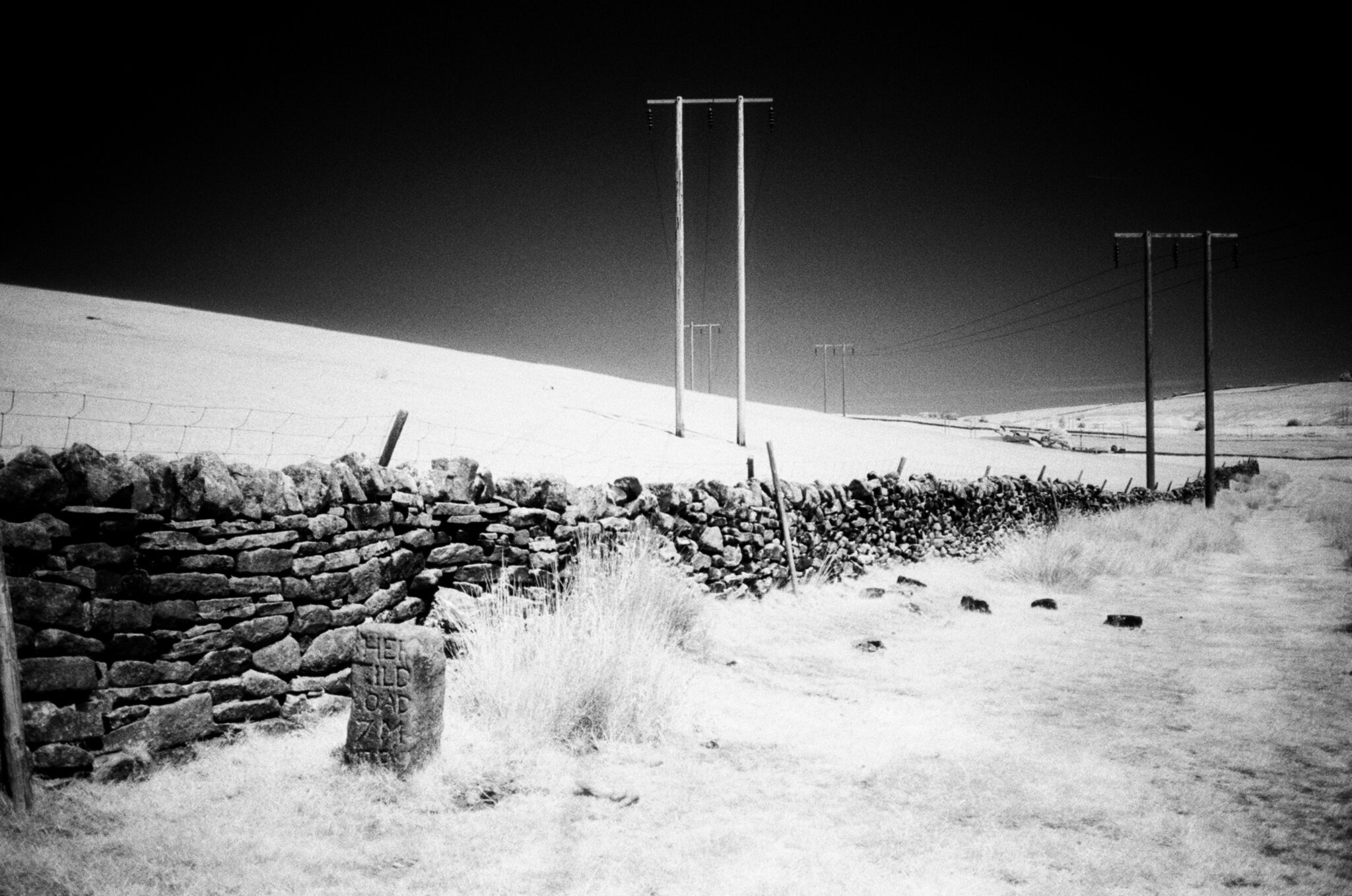 Konica Infrared 750nm - Experimenting with Expired Infrared Film - 35mmc