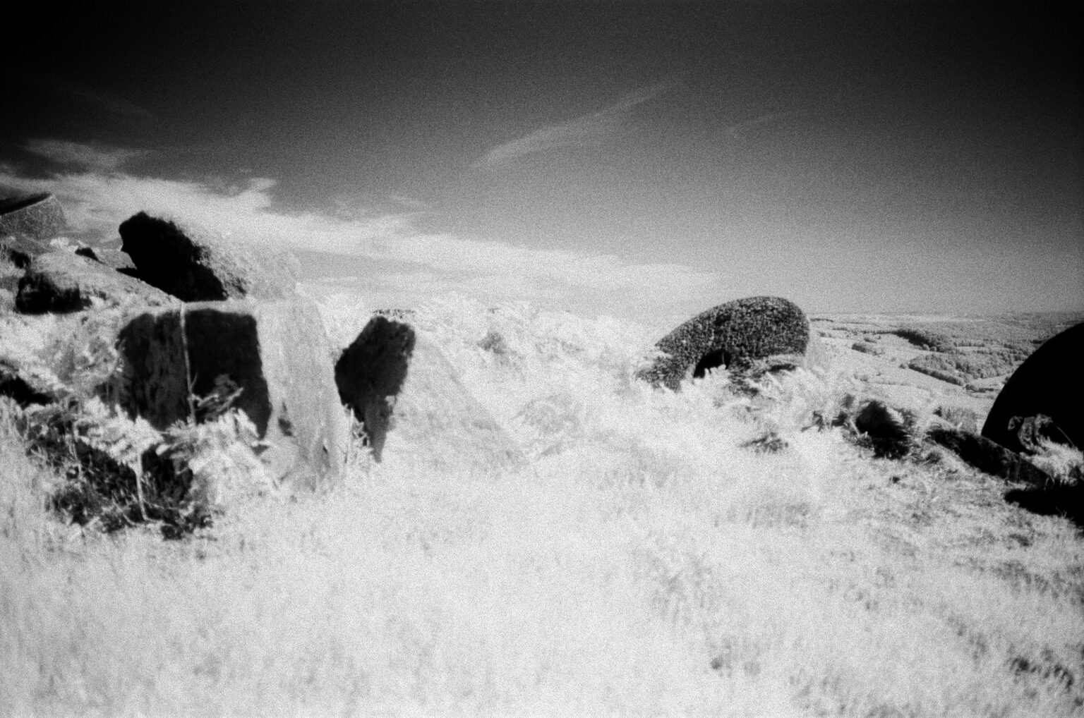 Konica Infrared 750nm - Experimenting with Expired Infrared Film - 35mmc