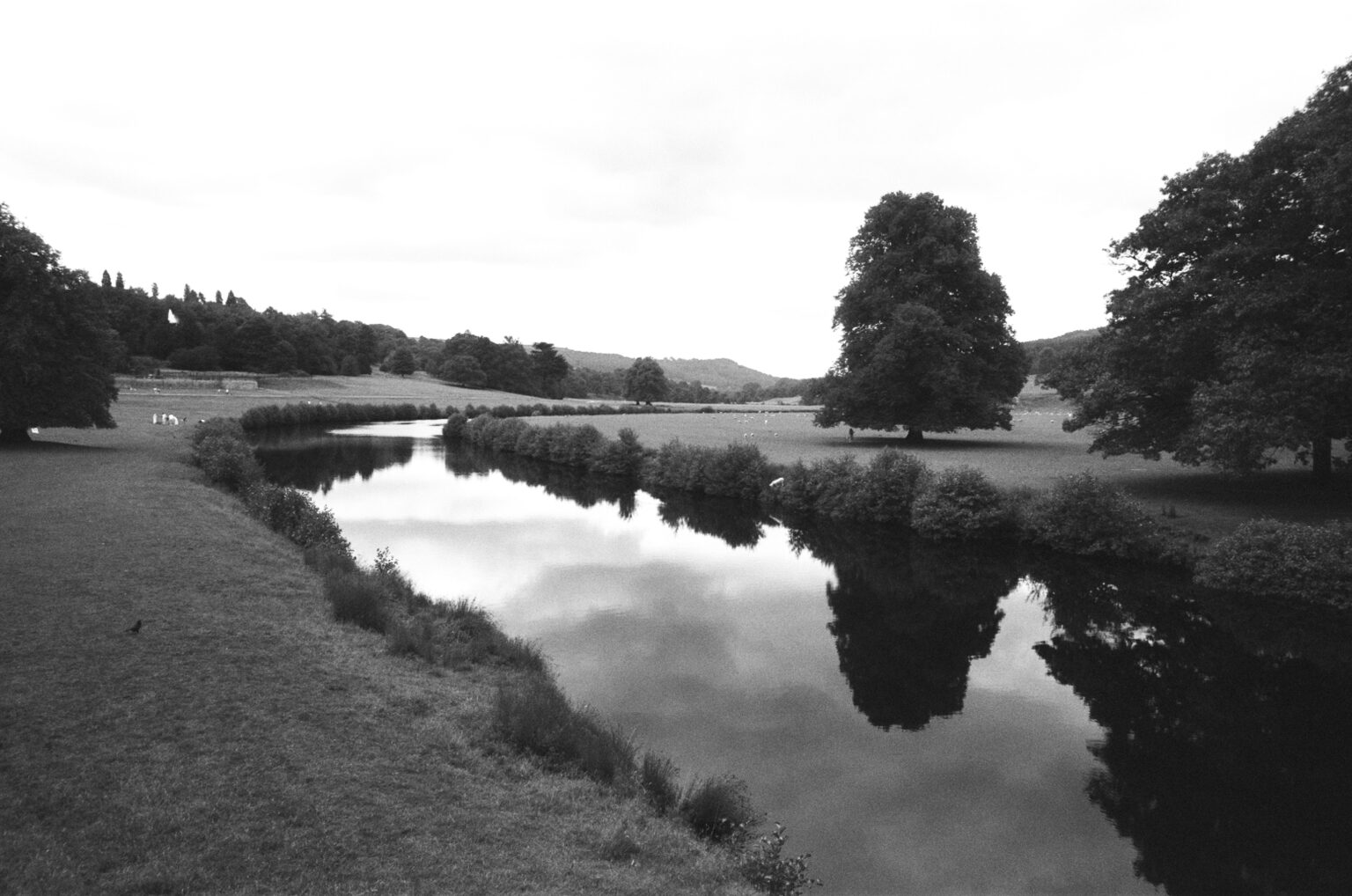 Konica Infrared 750nm - Experimenting with Expired Infrared Film - 35mmc