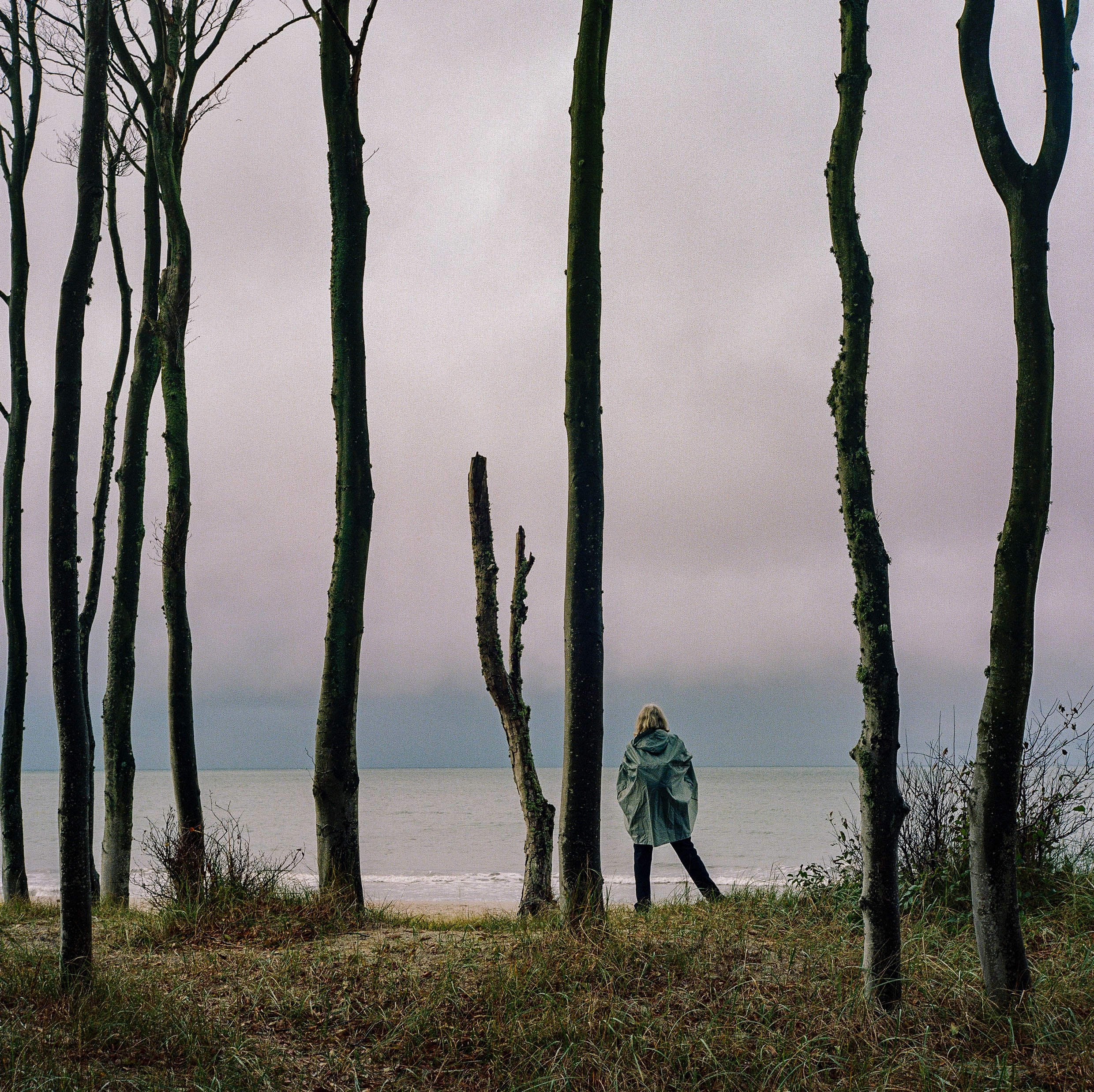 Forest, woman, sea, sunset