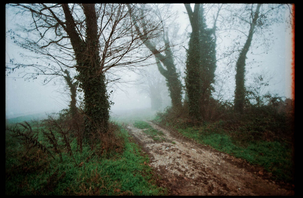 andrea_darra_countryside_view