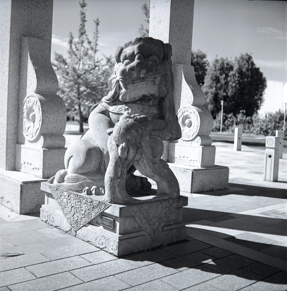 The definition claims may be a bit optimistic but the lens is definitely very sharp and well up with the best. No sharpening applied. APX.