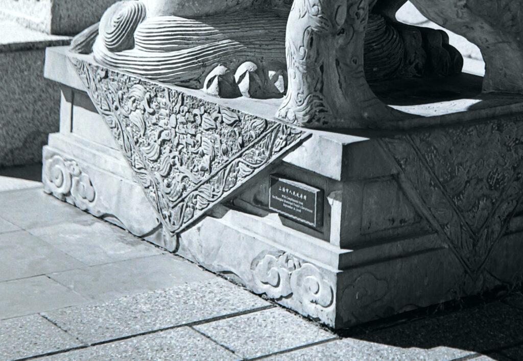 Detail from the above, again with no sharpening.