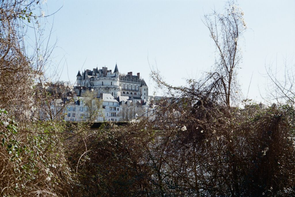 The Château d'Amboise, dominating the City, with the Loire river in foreground
