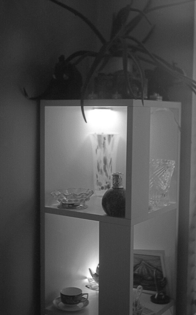 Out of the Drawer and Into the Light: A Journey of Recovery and Rejuvanation