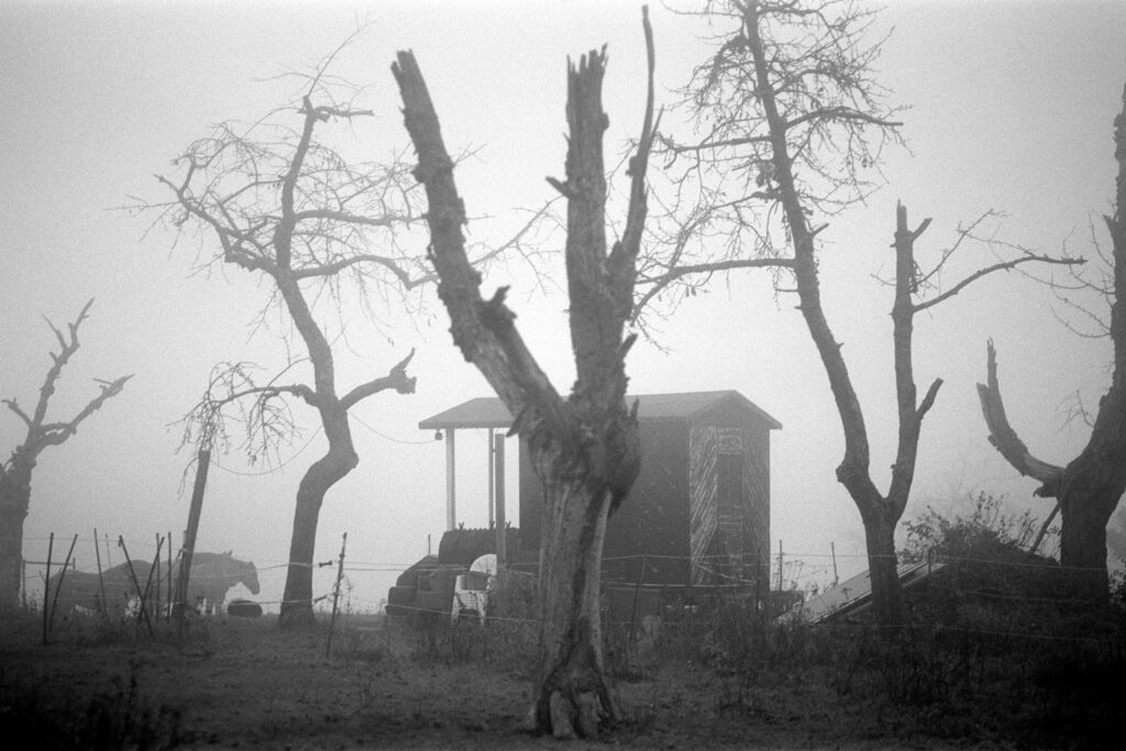 Nikon F2 - Zeiss Planar 85/1.4 - Ilford Pan F+