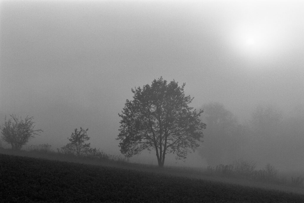 Nikon F2 - Zeiss Planar 85/1.4 - Ilford Pan F+