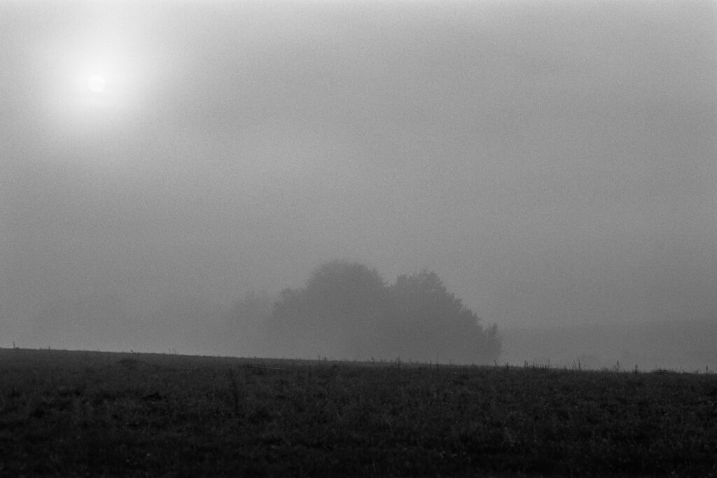 Nikon F2 - Zeiss Planar 85/1.4 - Ilford Pan F+