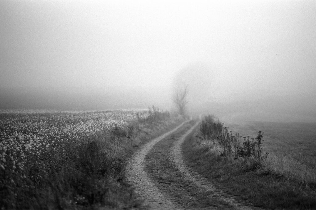 Nikon F2 - Zeiss Planar 85/1.4 - Ilford Pan F+