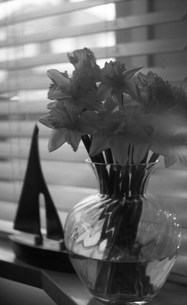 Out of the Drawer and Into the Light: A Journey of Recovery and Rejuvanation