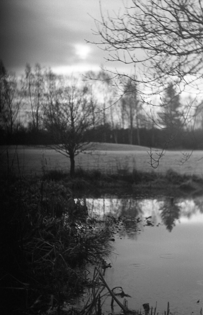 Out of the Drawer and Into the Light: A Journey of Recovery and Rejuvanation