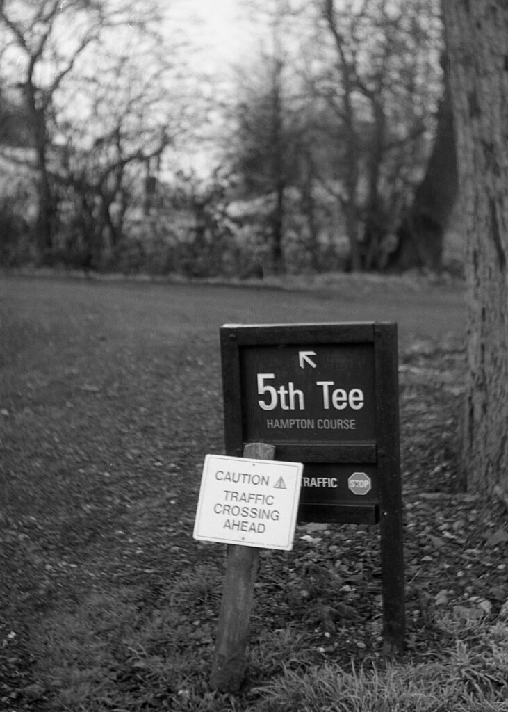 f8, 1/125, swirly bokeh!