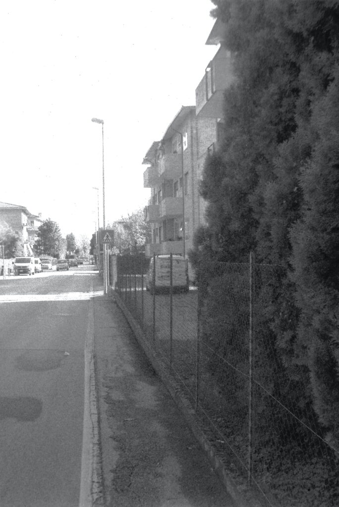 A suburban street in Padua, with cypress trees in the foreground and a building on the right.